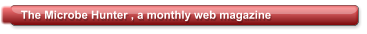The Microbe Hunter , a monthly web magazine